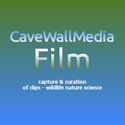 CaveWallMedia-Film link